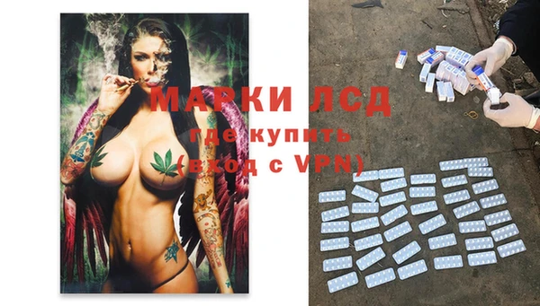 каннабис Аркадак