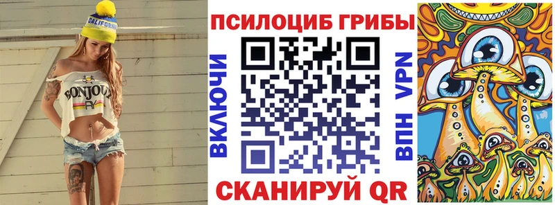 где купить наркотик Тайшет Галлюциногенные грибы Psilocybe